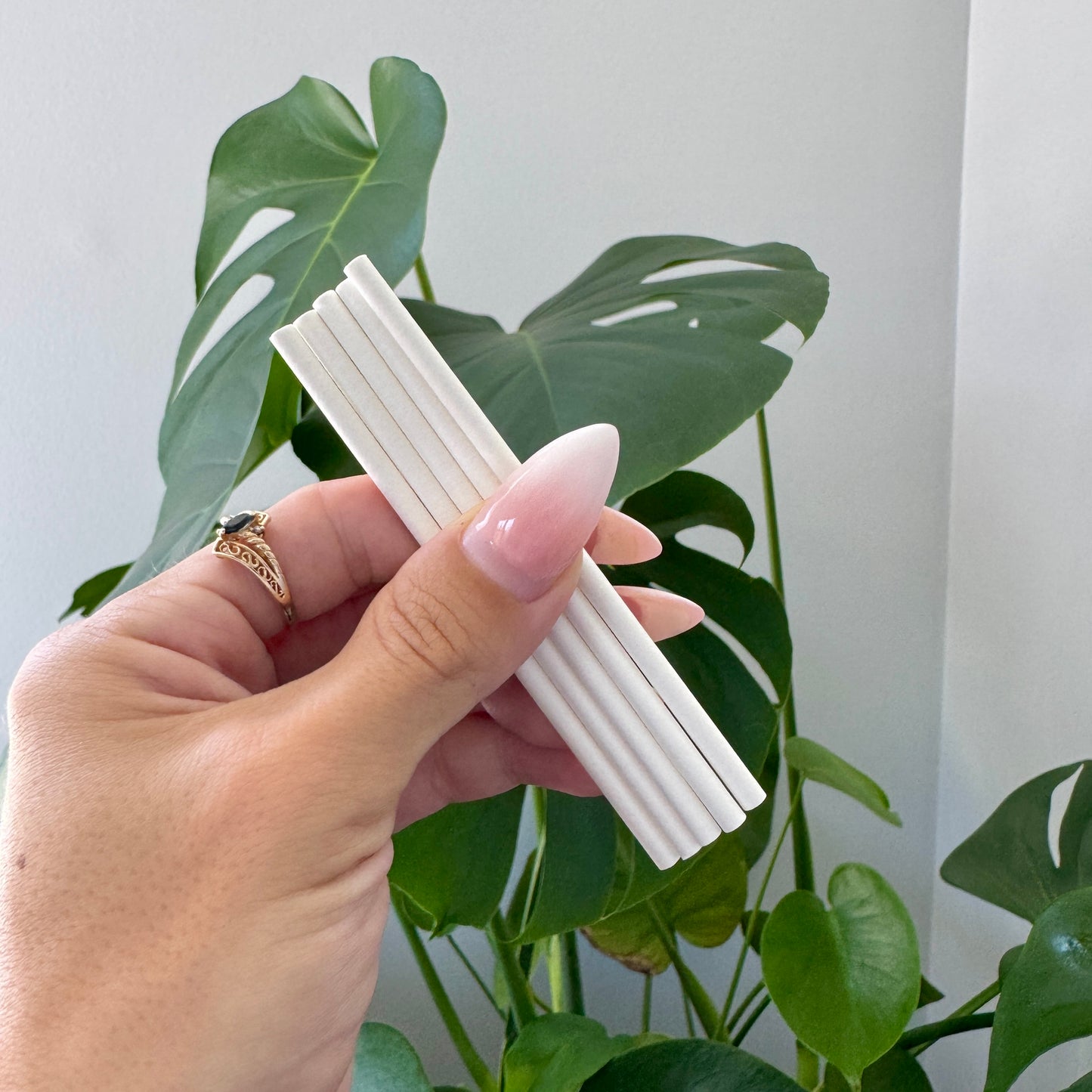4” white popsicle sticks for cupcake toppers